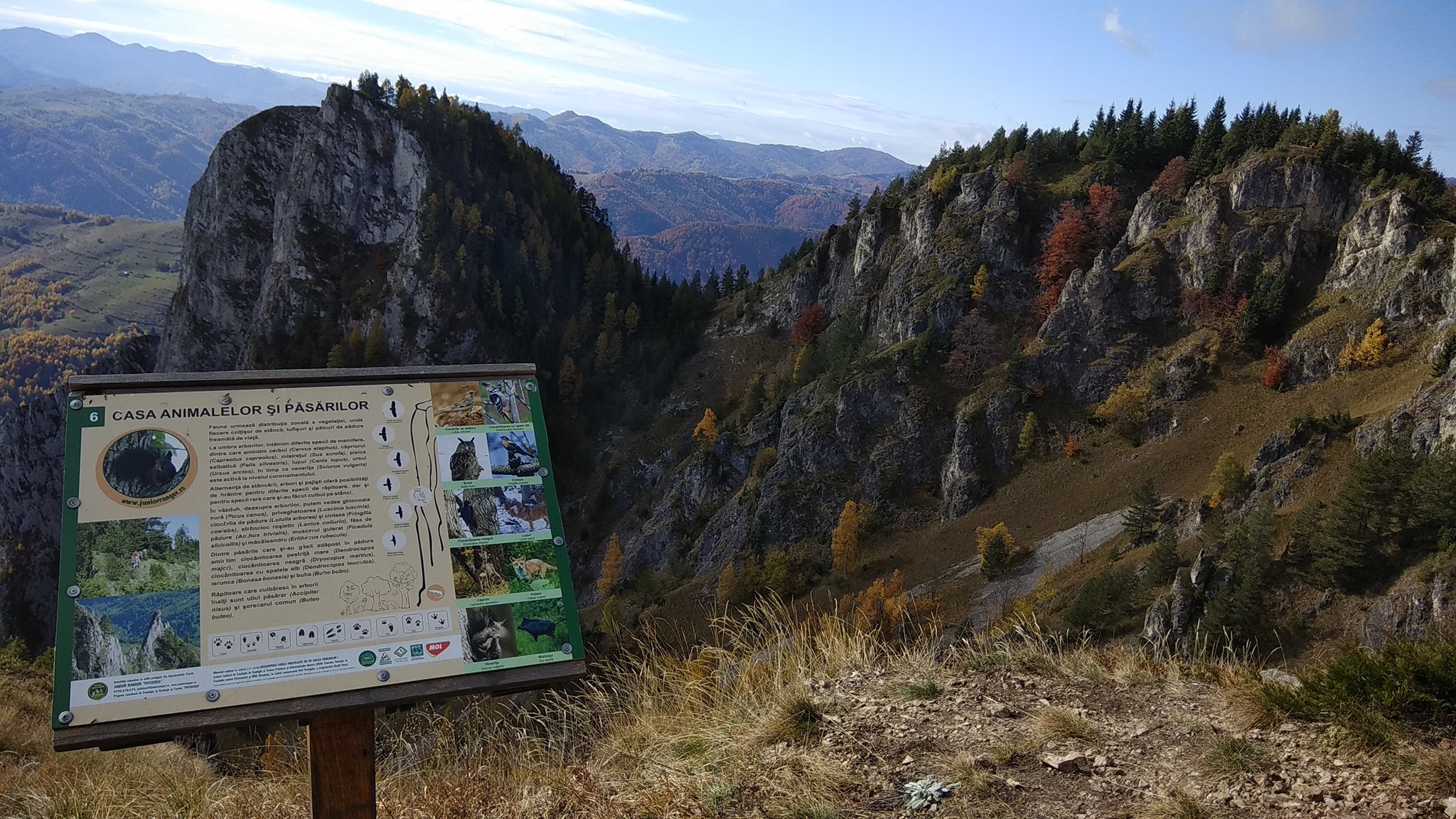  Panoul informativ și Abrupul impresionant în culori ruginii - Manu Munțomanu