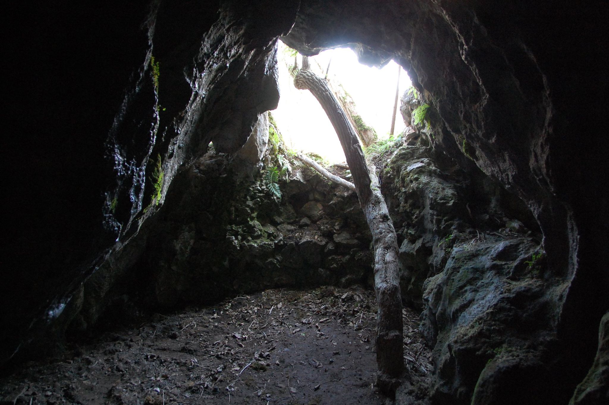  Peştera Cizmei - Monica Dușan