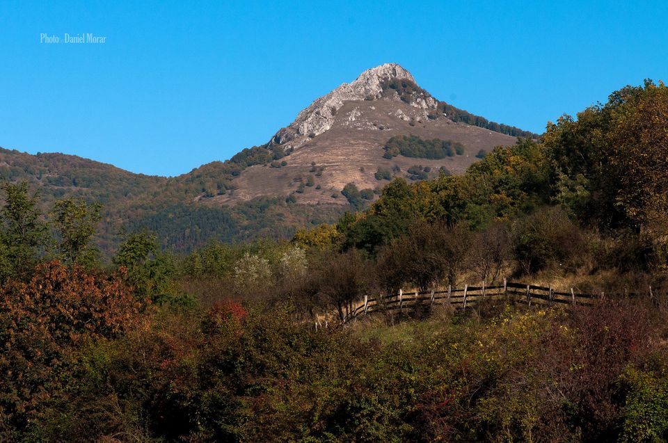  Piatra Craivii, amonte de Bucerdea, de lângă troiță - Daniel Morar