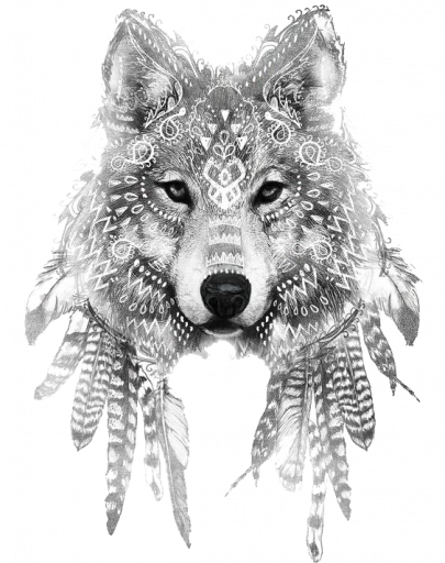 imaginea utilizatorului Mizantropescu