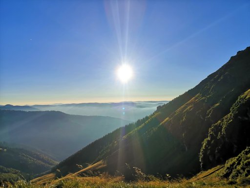 imaginea utilizatorului DavidK