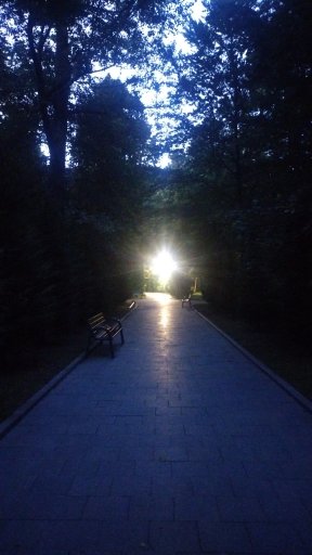 imaginea utilizatorului Anuk