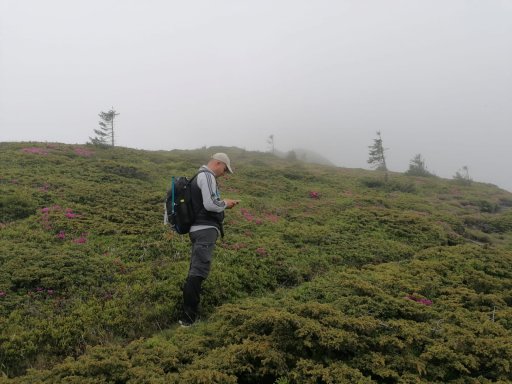 imaginea utilizatorului FLORINACHE