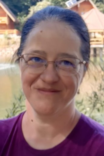 imaginea utilizatorului cvladarean