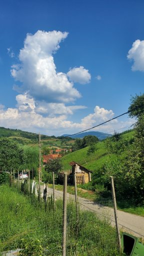 imaginea utilizatorului flex