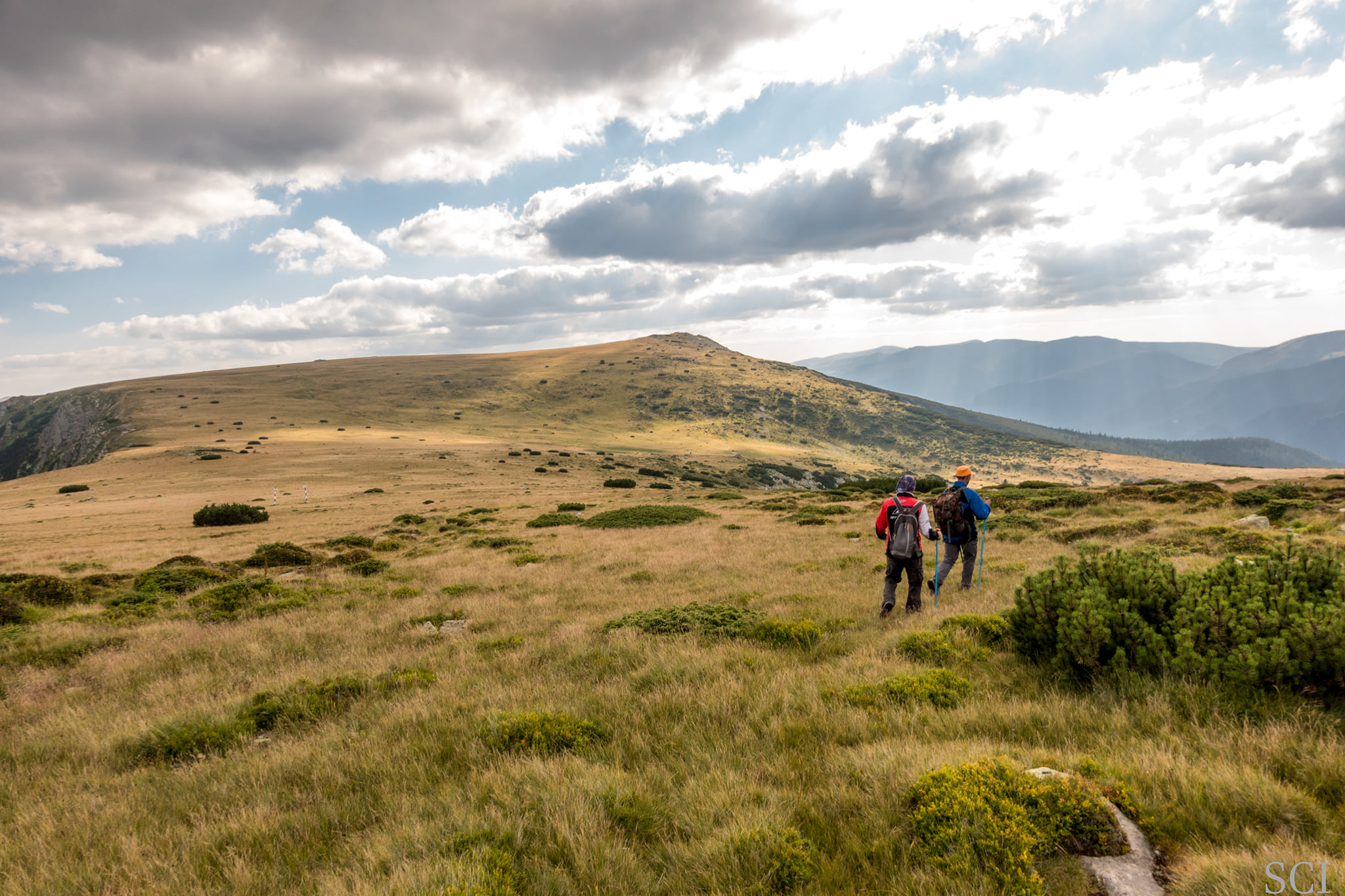  Platoul Rades-Zlatna - Csaba-Ilie Silvesan