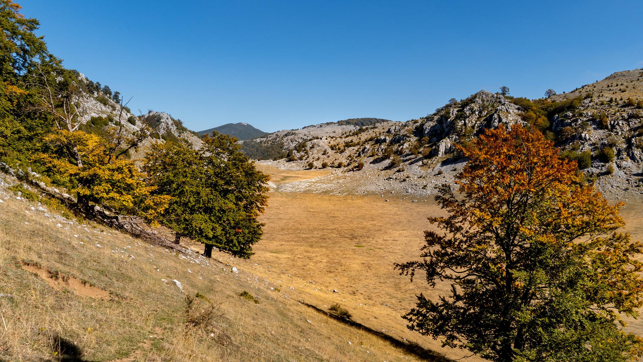  Poienile de Sus - Marian Stan