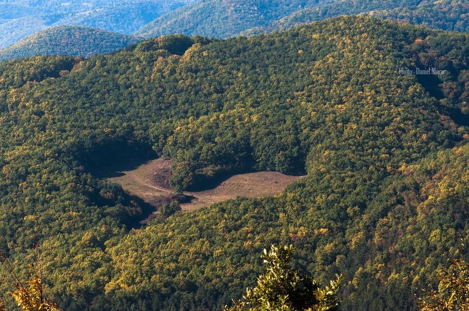  Poiana Dragostei (Poiana Inimă) de lângă Bucerdea - Daniel Morar