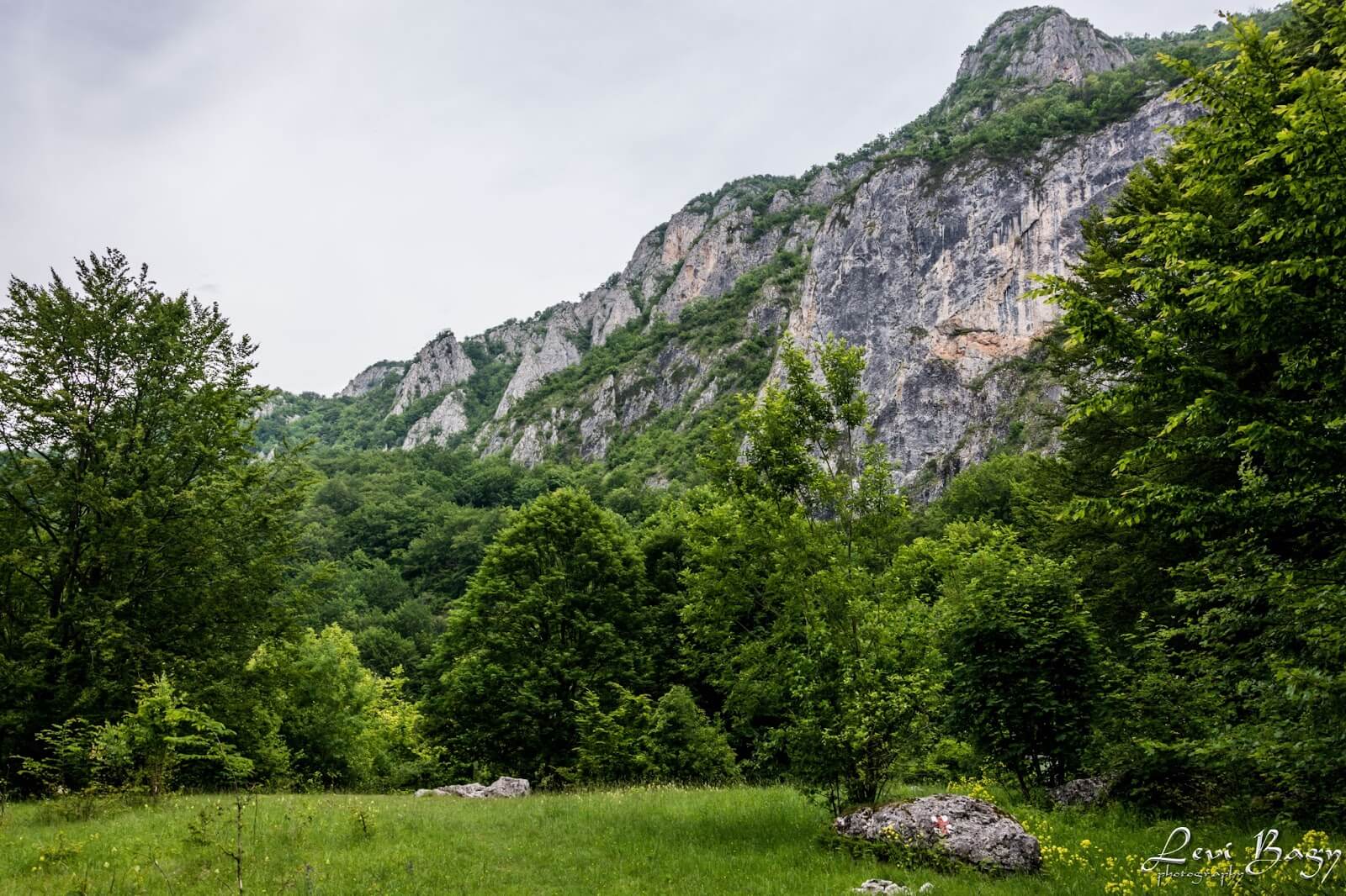 Poiana Șipote - Levi Bagy Photography