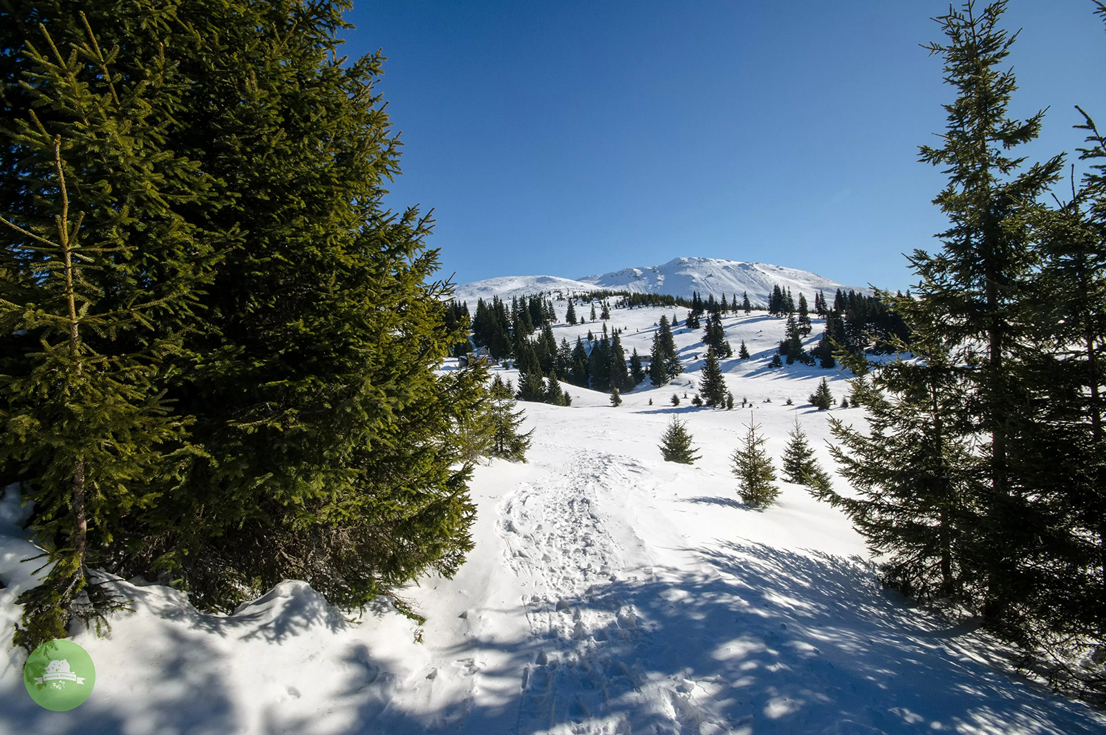  Poteca spre stația meteo Cuntu  - Amazing Romania