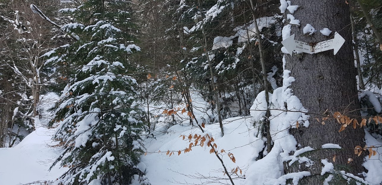  Sageti variante traseu Curatel - Hudin Lucian