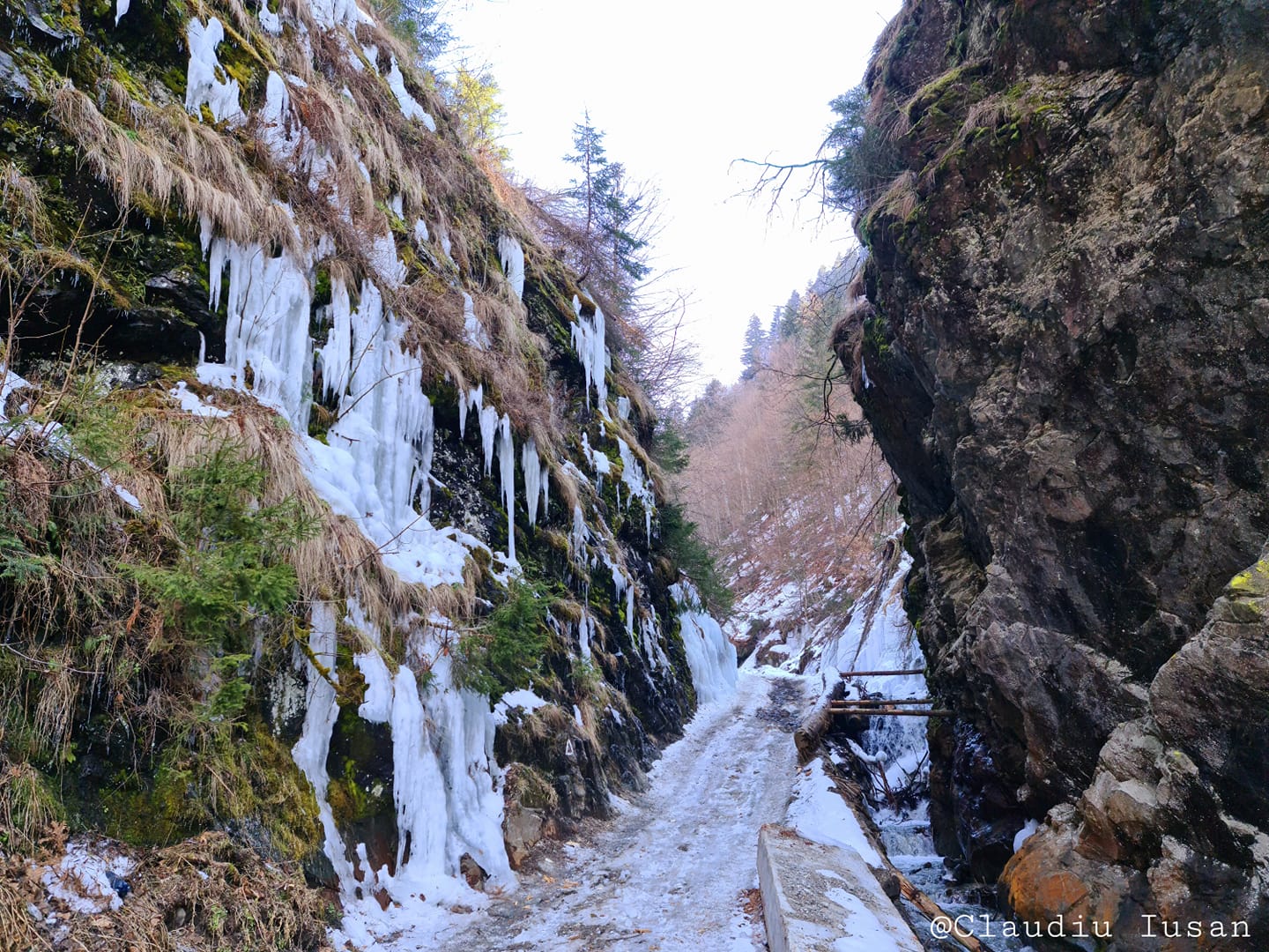  Stramtoarea Dracului - Claudiu Iusan