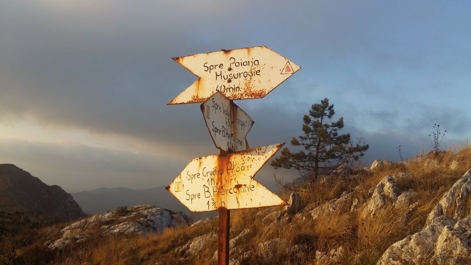 07 TR Indicator sub varful Domogledul Mare.jpg