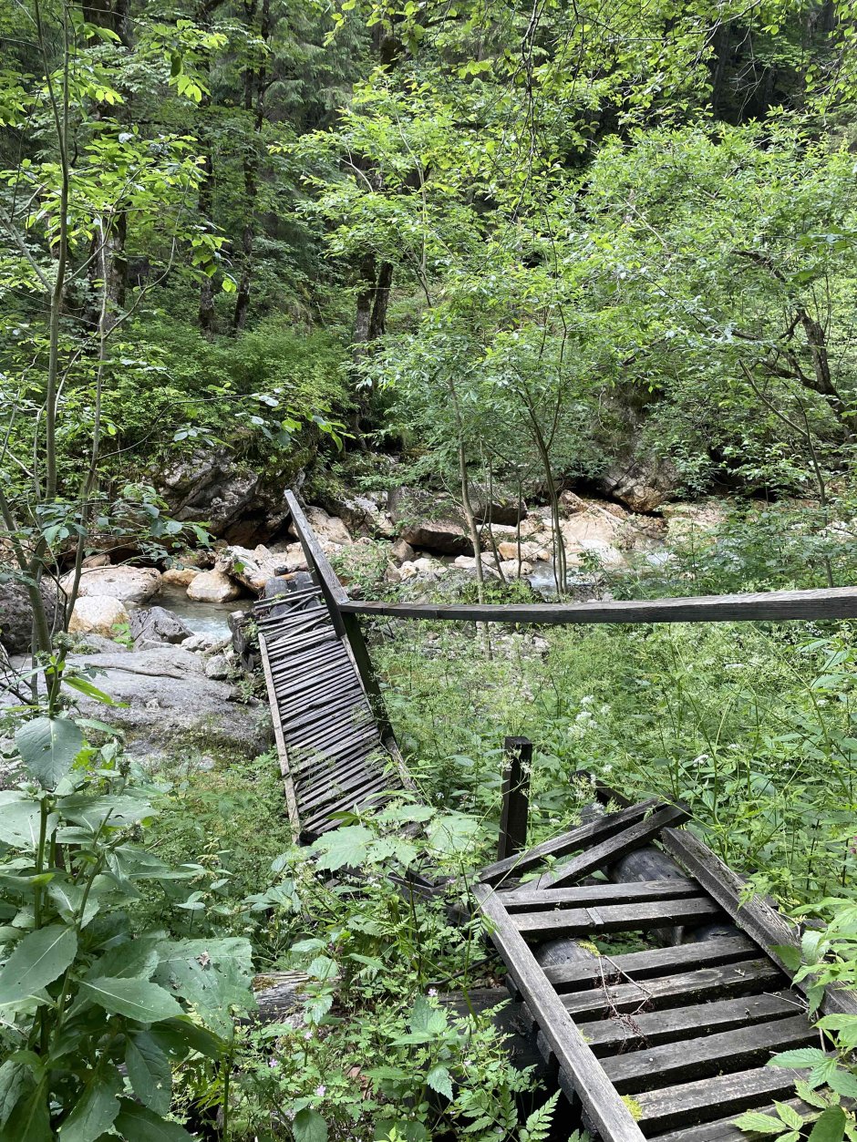 20230716 143907286 ios 0