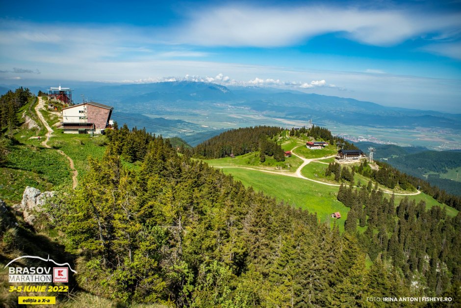 22060410-08-04-img 9350-ai