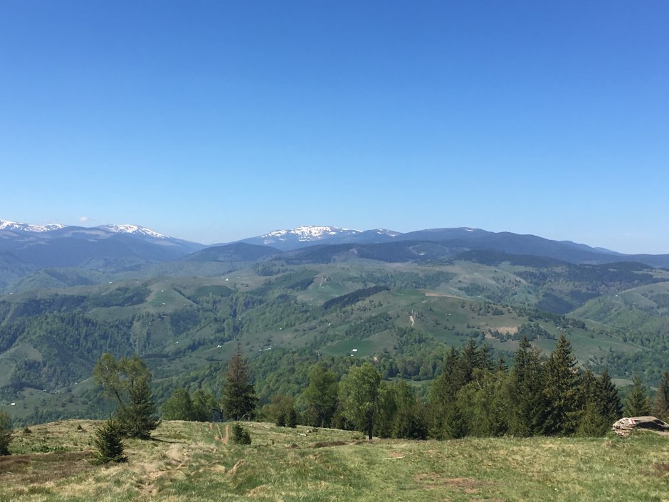 23mn img 01br vedere spre cindrelde pe magura 0