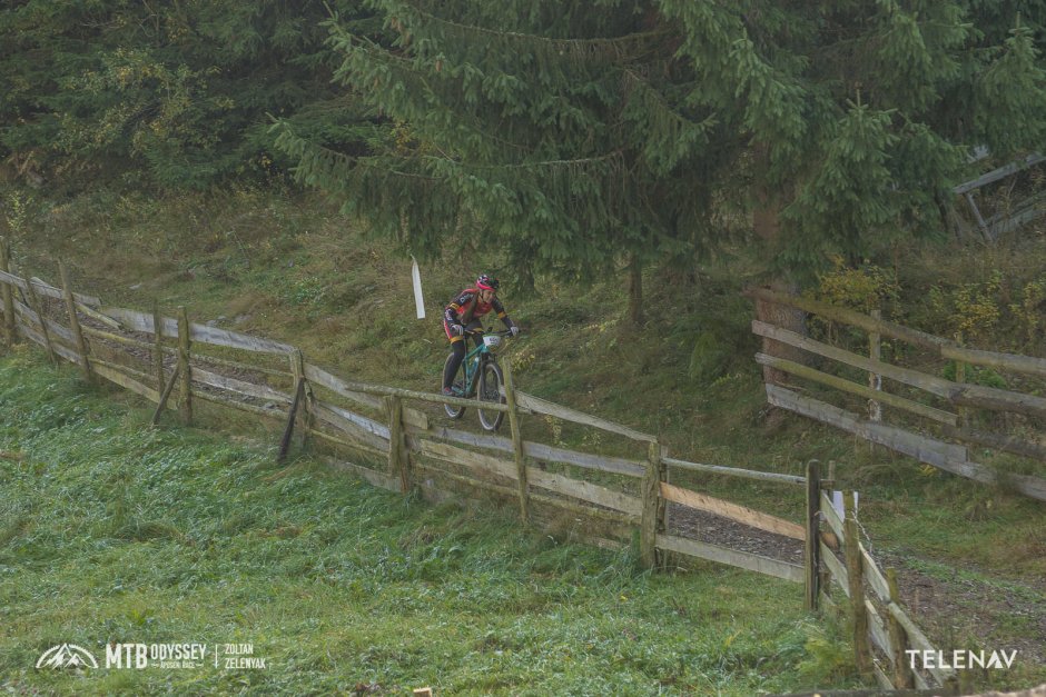 243542955 403627384731849 8029699373613574137 n