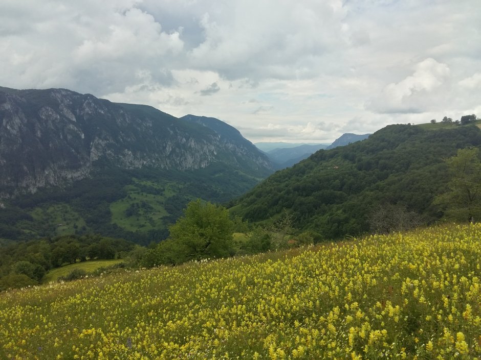 27 PA Valea Cernei si Muntii Meedinti din Muntii Cernei.jpg