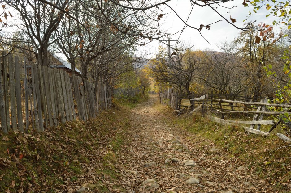 29mn img 10pr din paulesti spre valea neagra