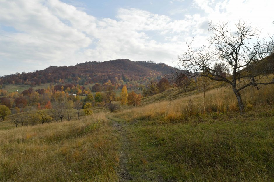 29mn img 10pr in zona curmatura magurii