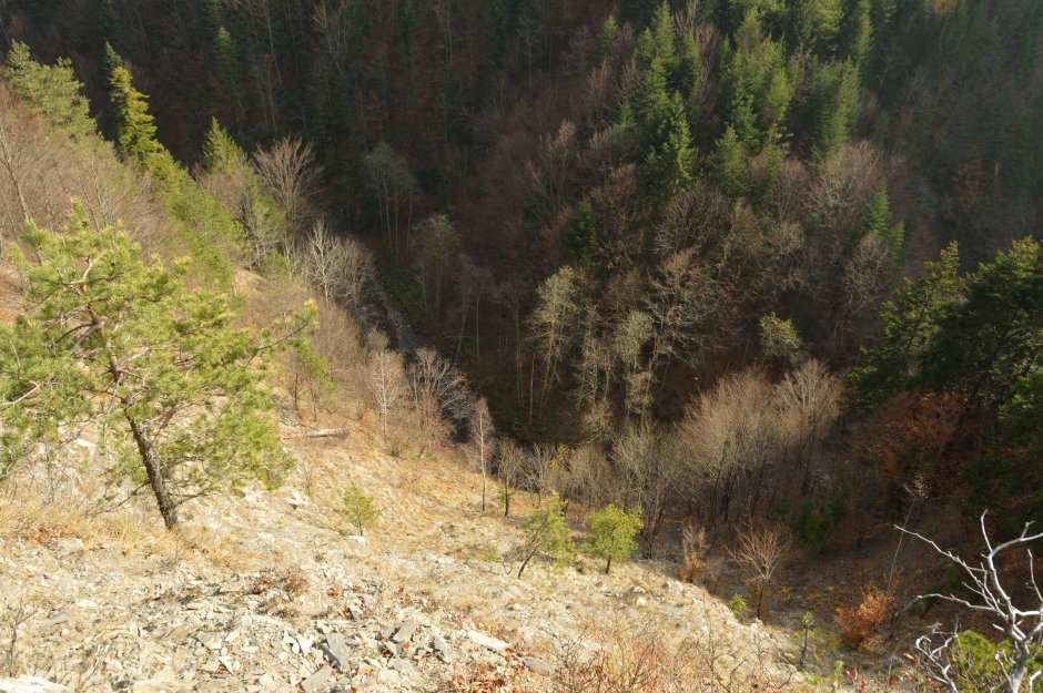 29mn img 11pg valea paraului coza vazuta de pe traseul 11 pg