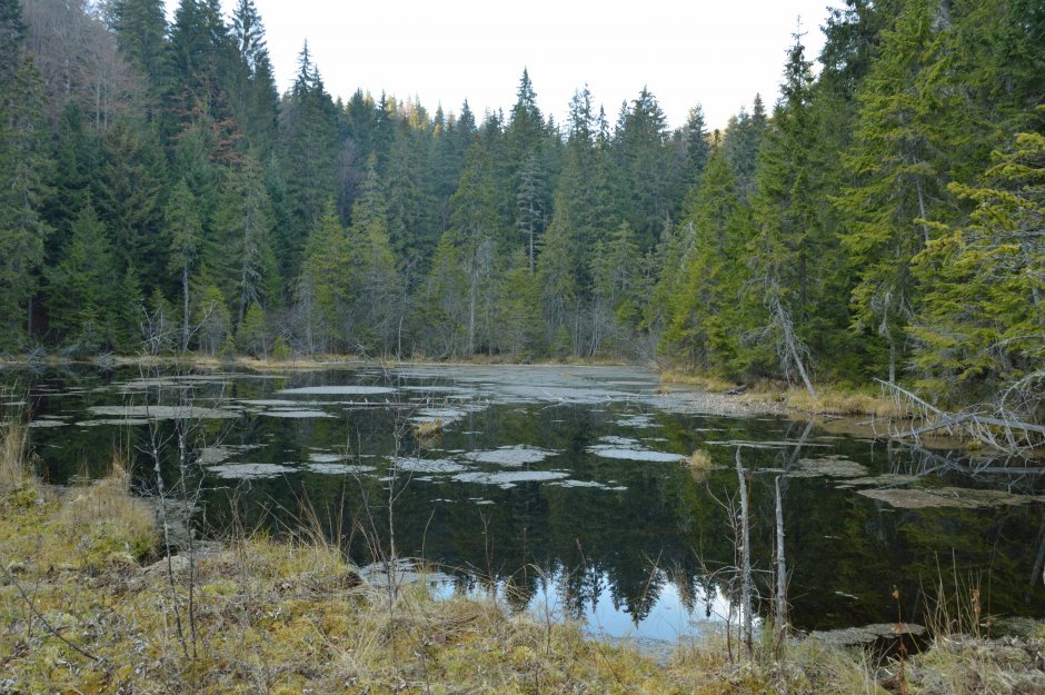 29mn img 13ca lacul negru