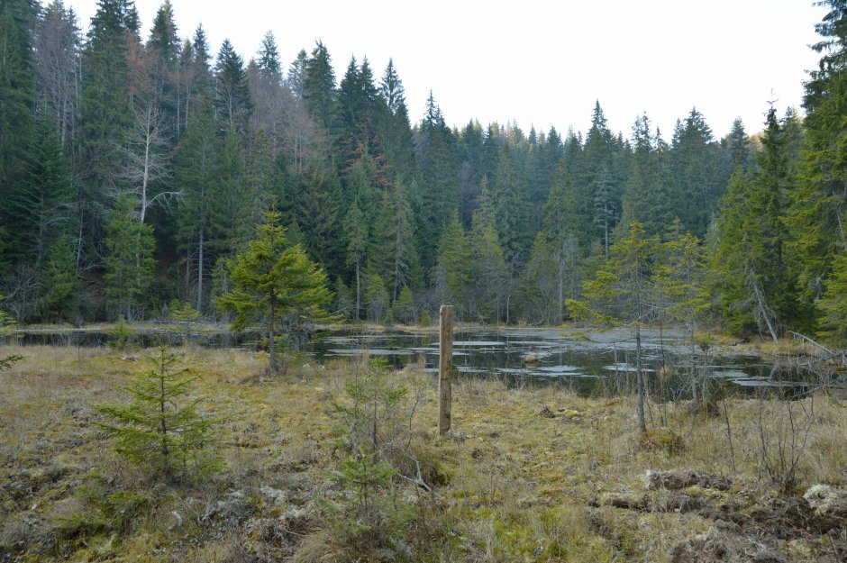 29mn img 13ca pe malul lacului negru