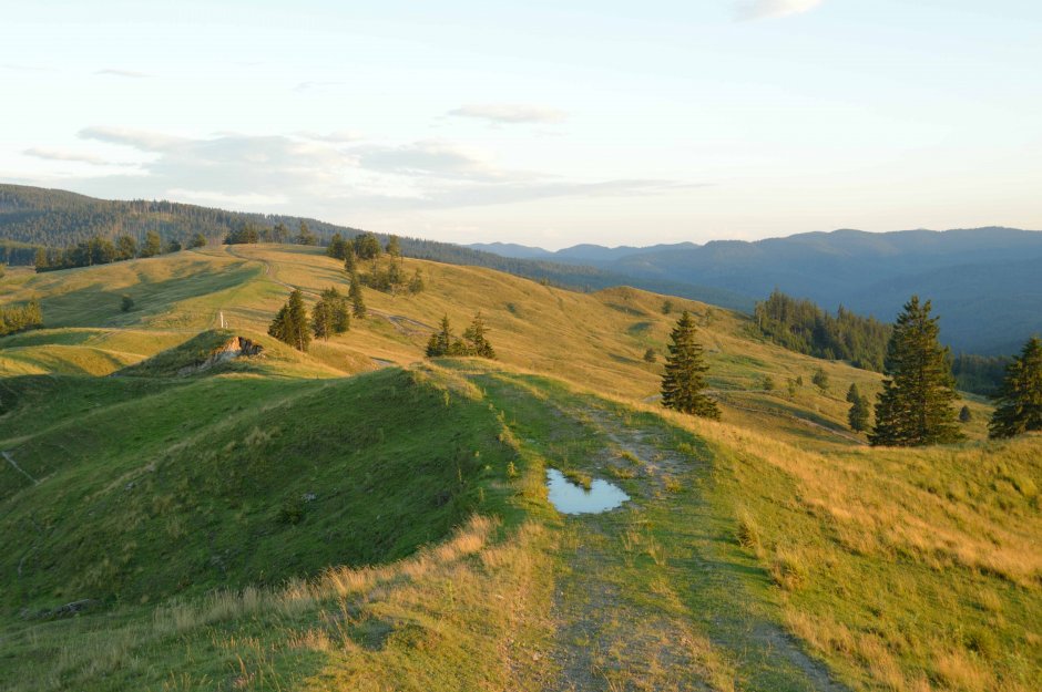 29mn img 14pa golul pietrosului