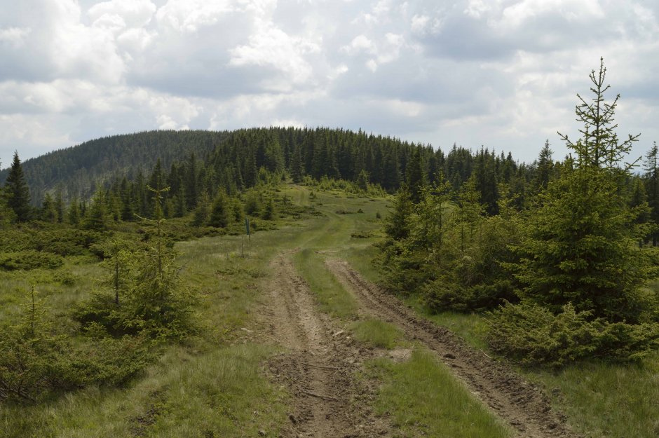 29mn img 15ba urcare spre zboina frumoasa