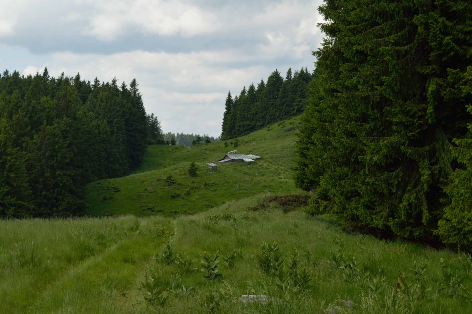 29mn img 16pa stana lui coman