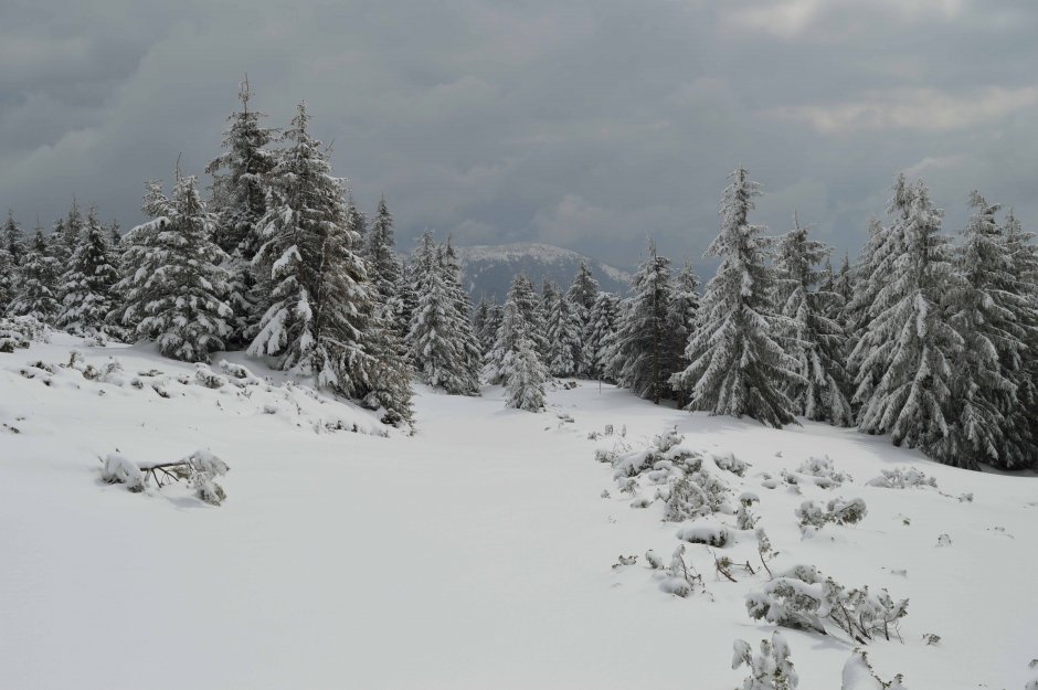 29mn img 19ca vedere spre varful goru din apropierea varfului lacauti