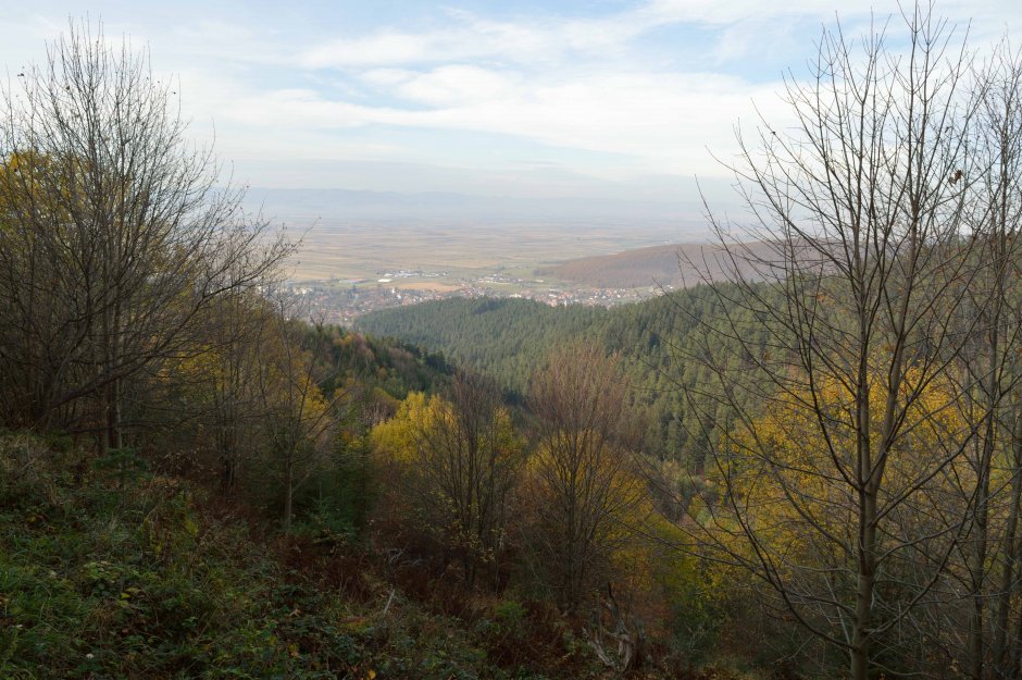 29mn img 28tr priveliste catre covasna la urcarea spre poiana lui cocorea