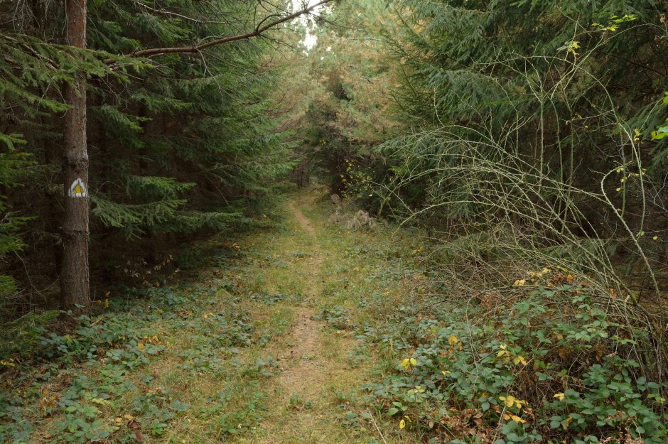 29mn img 29tg coborare din poiana lui cocorea spre covasna