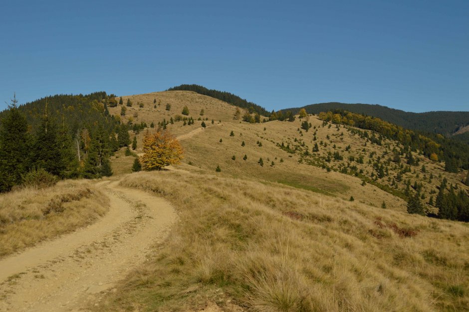 29mn img 31pa deasupra cantonului silvic elves urcand spre varful lacauti