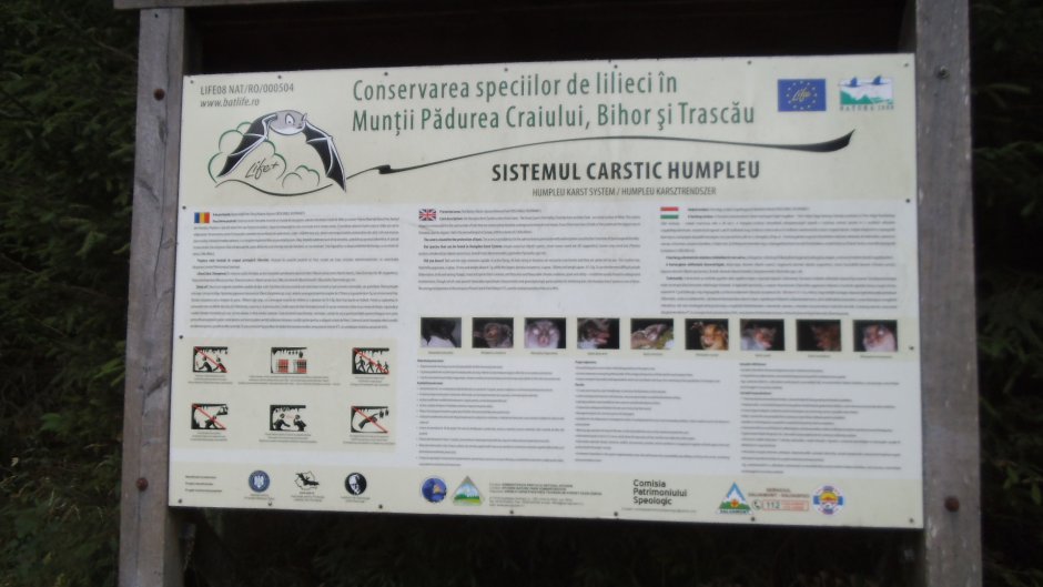 370914479 10210910634758909 4892396312899319567 n