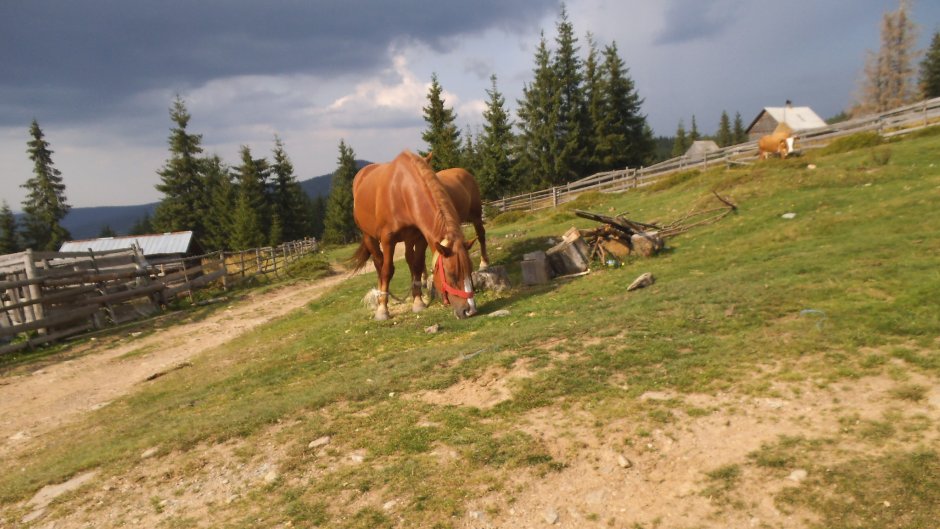 370973729 10210920648889256 6594455543258659665 n