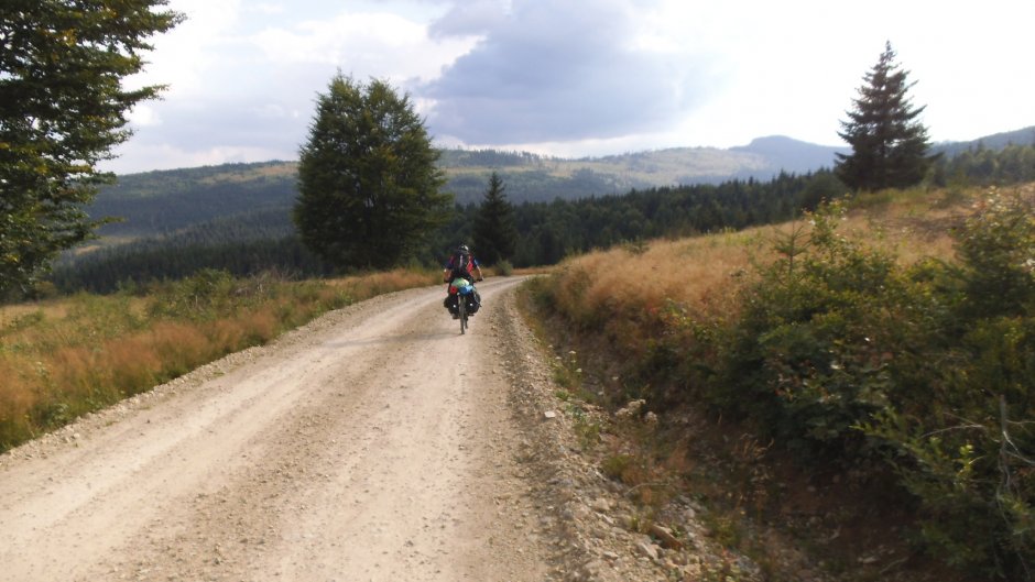 371000249 10210916136816457 1302568808999396923 n