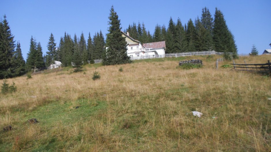 371792906 10210923548281739 6882264142635094678 n