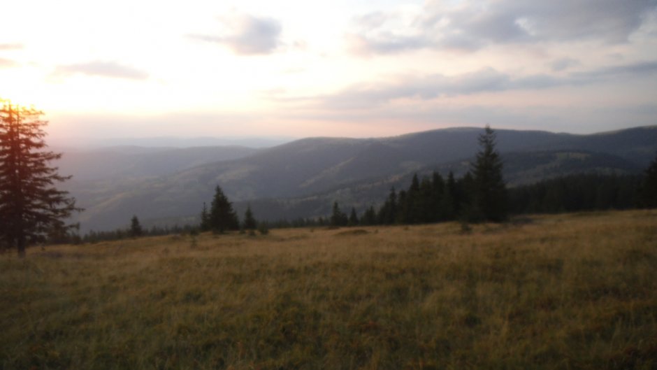 371811536 10210920653169363 7768815779364486675 n