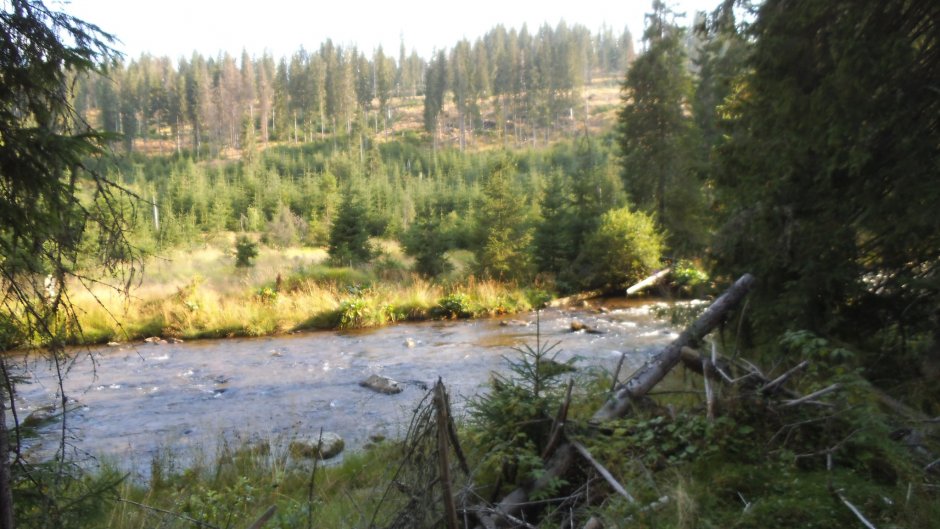 371811847 10210923550121785 3281754556096178806 n