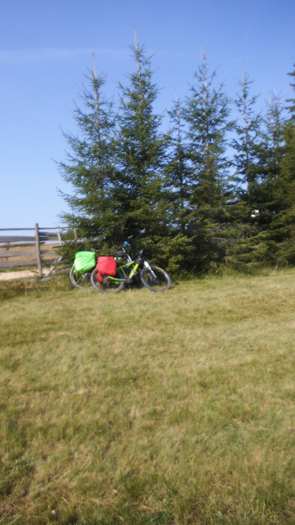 371826229 10210923545361666 483934531073445937 n