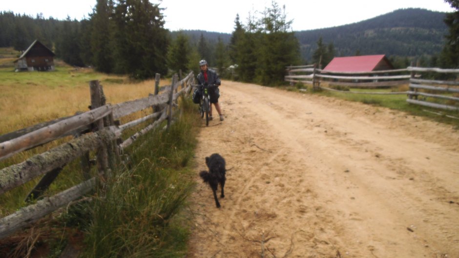 371878362 10210923546321690 8922587004828225461 n