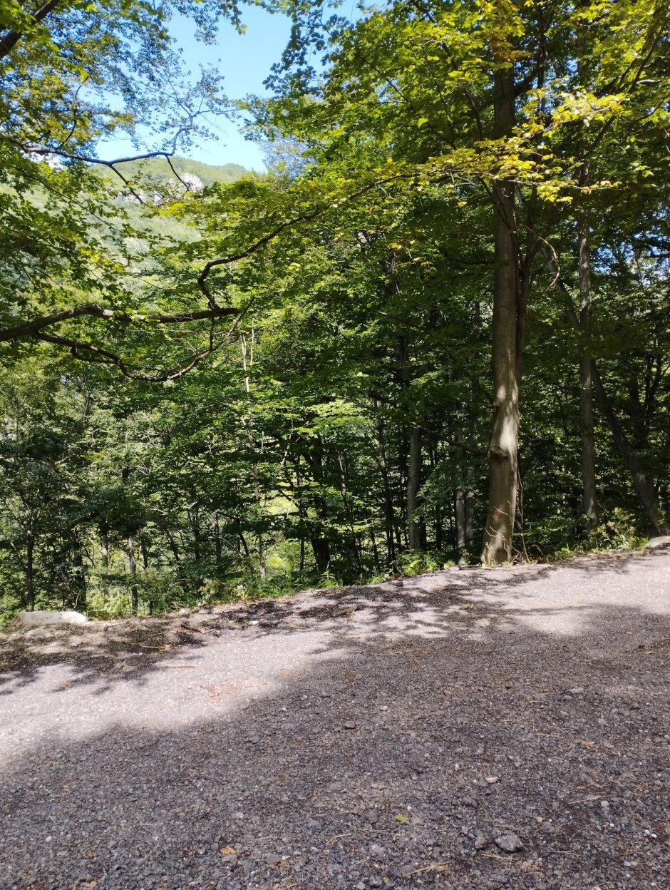 372980897 10210925610053282 2773562728490421197 n