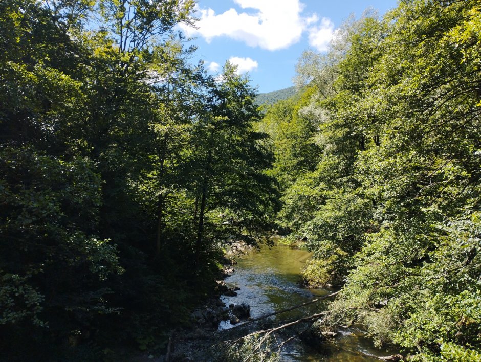 373350916 10210925609733274 191532655578418503 n