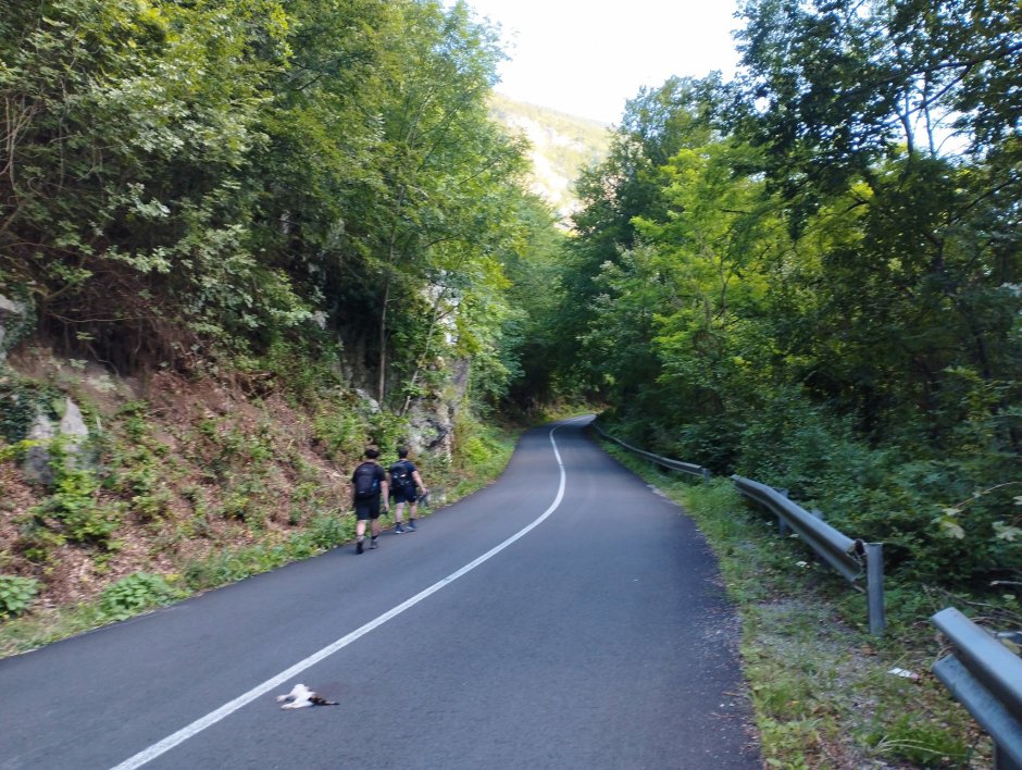 373440677 10210925606573195 1850388021645977381 n