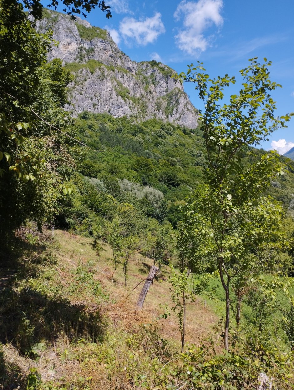 373534890 10210925607733224 3793877042997496734 n