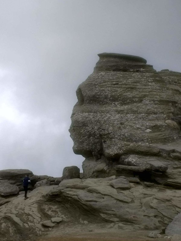 51690252961 eff77d6428 c