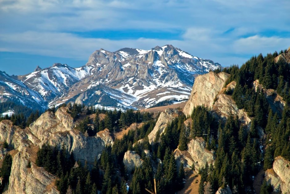 Spre Tigai msi Vf. Ciuas de pe Culmea Gropsoarele-Zaganu - 07.JPG