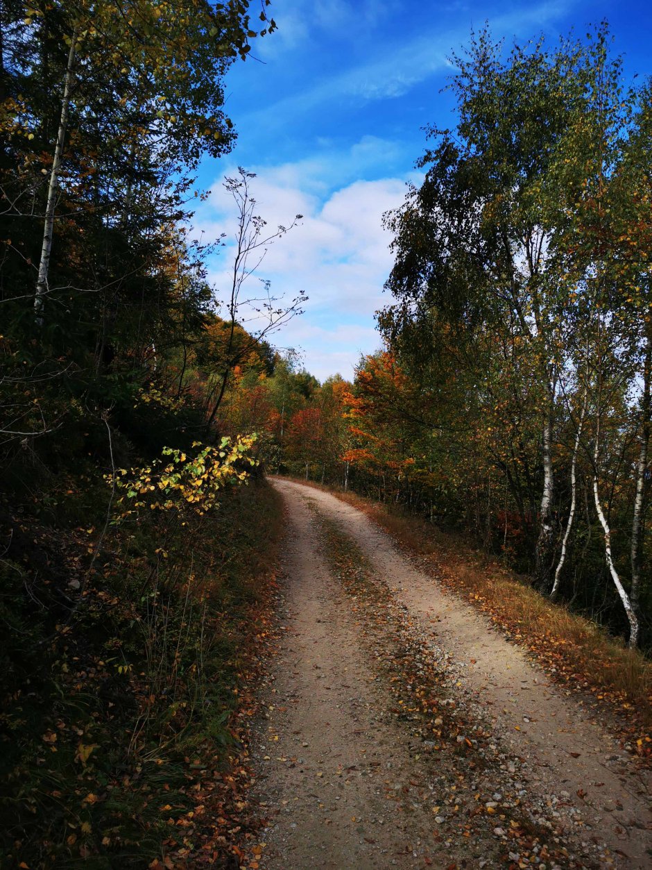  01mb img 22 img 20211009 104551