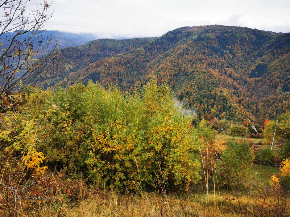  01mb img 25 img 20211016 163621